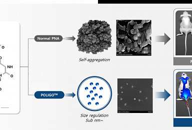 시선테라퓨틱스, PNA 신약개발 플랫폼 국내특허 획득