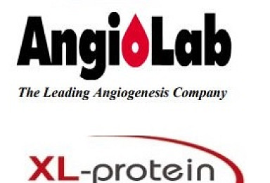 안지오랩, 獨 XL-protein과 혈관신생억제 항체 공동연구