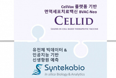 신테카바이오-셀리드 