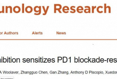 美 콜로라도大, HDAC 억제제로 PD-1 항체 효율↑