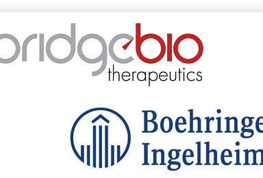 BI Expands IPF Pipeline Through Collaboration and License Agreement with Bridge Biotherapeutics