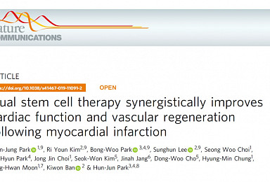 국내 연구진, 중증 심근경색 '줄기세포 복합치료법' 제시