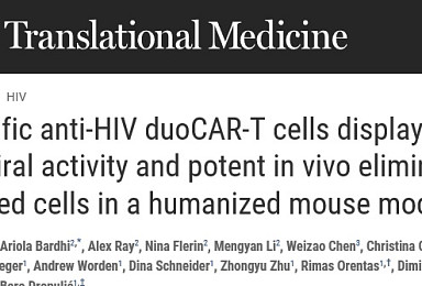 HIV 감염된 면역세포 잡는 새로운 ‘duoCAR-T’ 등장