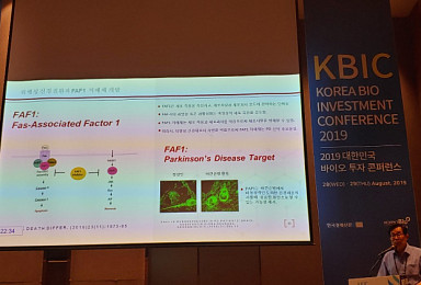 카이노스메드 