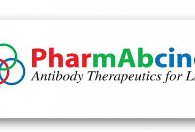 파멥신, 1주당 1주 무상증자 결정