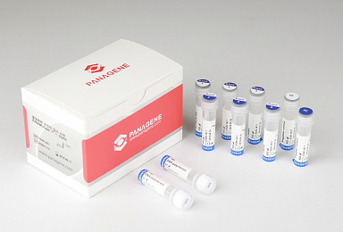 파나진, 타쎄바·타그리소 동반진단 허가 획득