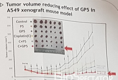 SG메디칼, 인테그린 베타1 항체 