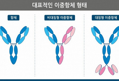 지뉴브, '비대칭형 이중항체 플랫폼' 구축 연구