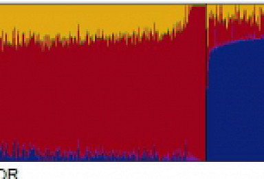 마크로젠, 1779명 동북아시아 유전체 DB구축