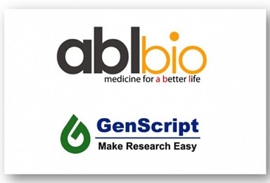 에이비엘, 진스크립트와 新이중항체 