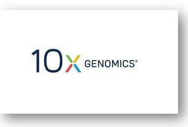 10x지노믹스, 단일세포 시퀀싱 '조직단위서 분석가능'