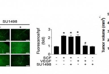'바이오파마 테크콘서트' 공개 5가지 신약후보물질은