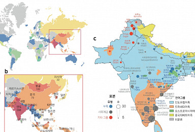 마크로젠 컨소시엄, 아시아 142개 종족 유전체DB 구축