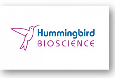 싱가포르 '허밍버드', 미래에셋 등서 1900만弗 유치