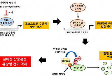 테라젠-서울대 융기원, TNBC 전이 억제 유전자 규명