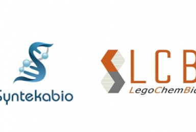 레고켐-신테카, AI로 합성신약 후보물질 발굴