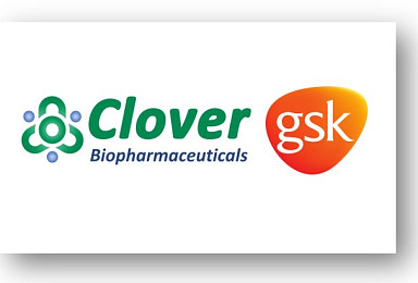 中클로버-GSK, '코로나19 백신+면역증강제' 공동연구