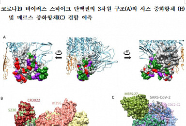 화학연, '코로나19' 치료용 '사스·메르스 중화항체' 예측