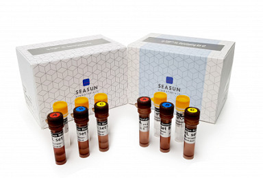 시선바이오, '유전성 난청검사 버전2' 식약처 허가