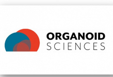 오가노이드사이언스, 방사선직장염 비임상 논문 게재