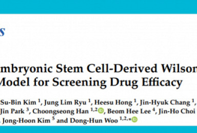 넥셀, hPSC로 신약 스크리닝 '윌슨병' 모델 개발