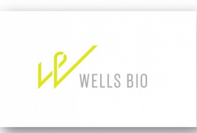 웰스바이오, '코로나19 진단' 식약처 수출허가 획득