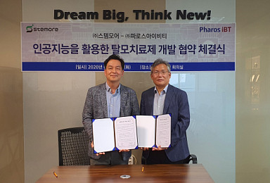 파로스아이비티-스템모어 