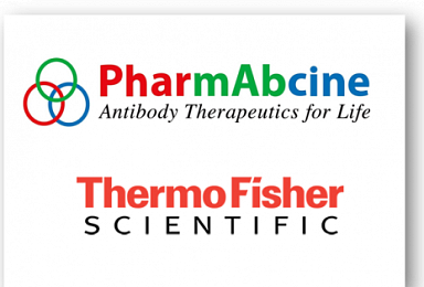 파멥신, 써모피셔와 'VISTA 면역항암제' 