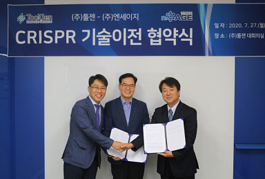 툴젠, 엔세이지에 크리스퍼 유전자가위 기술이전