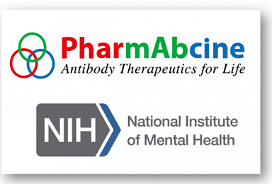 파멥신, NIH와 'Tie-2 항체' 