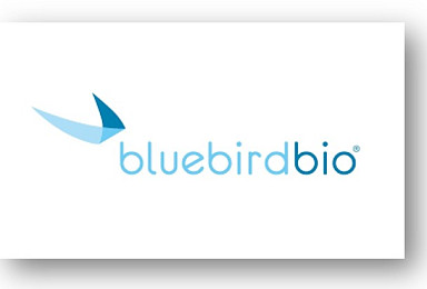 블루버드, ‘LLV 치료제’ CALD 2/3상 “이식부작용 없어”