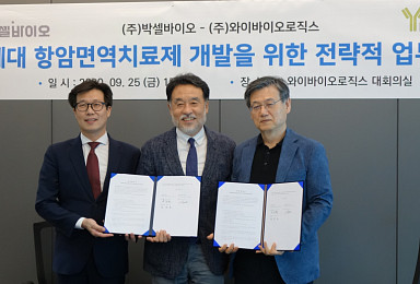 박셀-와이바이오, 