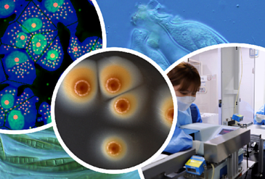 한국파스퇴르硏, 소외질환 신약개발 '리가 프로그램' 참여