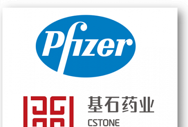 화이자, Cstone 'PD-L1' 中권리 '4.8억弗' 인수..