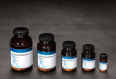 제노포커스, 코로나19 진단용 효소 'Proteinase-K' 출시