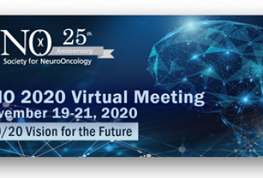 파멥신, 美 SNO서 GBM대상 '올란바시맙' 2a상 발표