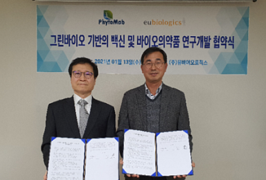 유바, 피토맵과 MOU..