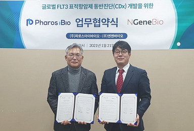 파로스iBio, 엔젠바이오와 FLT3 표적항암제 개발 MOU