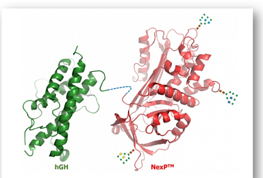 알테오젠, 지속형 인성장호르몬 
