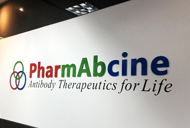 파멥신, 'ANG-2 타깃' 개량 신규항체 PCT 출원