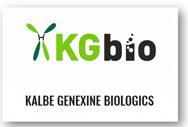 제넥신, 합작법인 KG Bio와 '빈혈신약' L/O계약 변경
