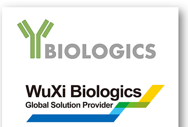 와이바이오, Wuxi와 CD3 이중항체 