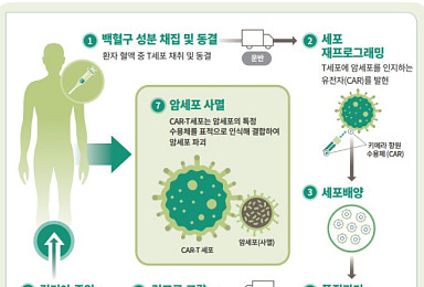 식약처, 노바티스 CAR-T ‘킴리아’ 