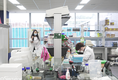 지놈앤컴퍼니, 獨머크-화이자와 