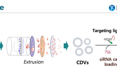 엠디뮨-美엑소나노RNA, 표적 약물전달 공동연구 계약