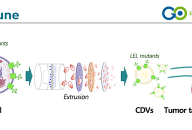 엠디뮨-EVERCYTE, 항암 '약물전달 시스템' 공동연구