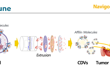 엠디뮨, 獨나비고와 '종양표적 약물전달체' 공동연구