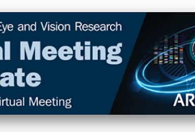 파멥신, 美 안과학회서 'Tie-2 활성' 항체 