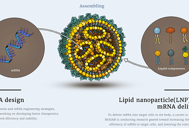 목암연구소, LNP 과제 