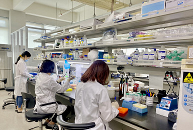 '항노화' 메디스팬, 시리즈A 65억..